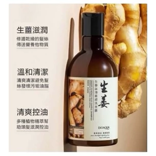 شامپو صافی و ابریشمی زنجبیل بیوآکوا BIOAQUA