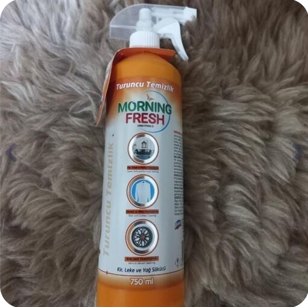 اسپری چند منظوره پاک کننده سطوح Morning Fresh حجم 750 میل